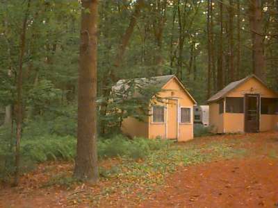 Cabins come in many colors