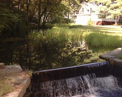 Spring waters bring life to the 134 year old  camp grounds