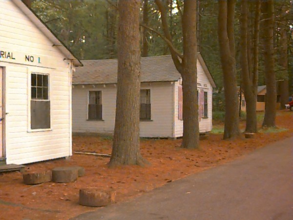 Cozy cabin -Nestled in the pines