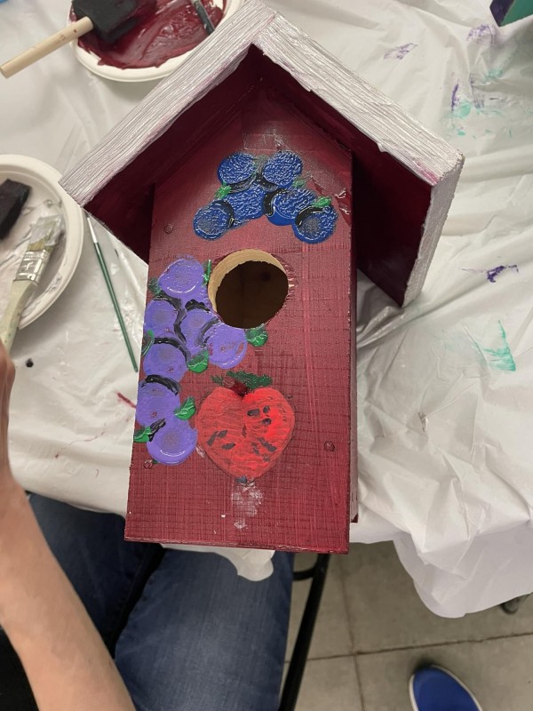 Birdhouse Painting